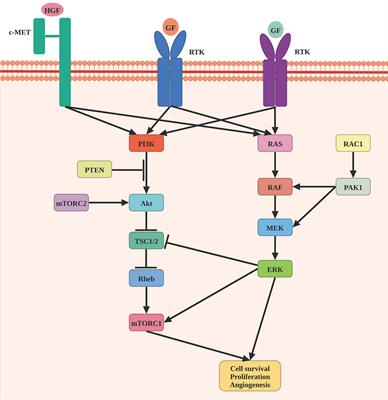 Individualized Treatment Strategy for Cutaneous Melanoma: Where Are We Now and Where Are We Going?